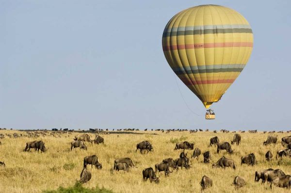 Kenya, Masai Mara Tourists ride hot air balloon